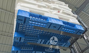 2026年最新常州塑料托盘生产厂家选购参考汇总指南