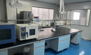 2026年广州诚信的植萃洗发水供应商推荐，客户口碑力荐