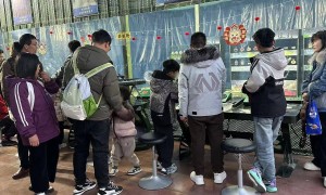 武汉质量稳定的景区游乐气炮枪厂家推荐，正规源头工厂实力参考