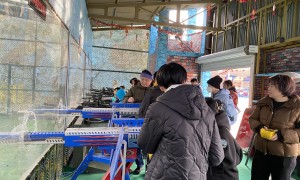 2026年评价高的气炮枪生产厂设备先进程度哪家高有哪些