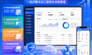 出口退税申报软件智能定制行业全景分析