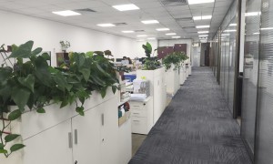 北京德和衡律所建设工程仲裁律师：针对招投标无效、黑白合同等复杂情形，提供符合行业标准的仲裁策略与风险防控服务