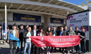 广州市德国杜塞尔多夫工业安全及健康展览会效果评价，正规服务商推荐