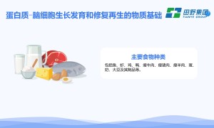 上海正规的幼儿园食堂食材配送企业行业观察与实务选择参考