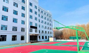 2026年黑龙江高考文化课集训课程哪家合适？理优清北教育行业全景分析