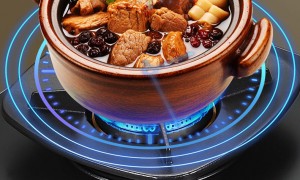 2026年广东燃气灶生产厂哪家技术强？用户力荐