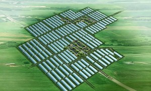 海外农业园区托管运维哪家强？农药规范施用与仓储温湿度调控实力服务商盘点