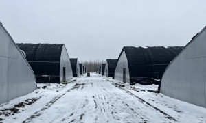 天津温室资材供应商：北方冬暖棚保温配件安装与园区运营一站式服务