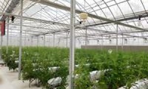 天津华誉源头厂家｜生态大棚整体承建，造价明细参考