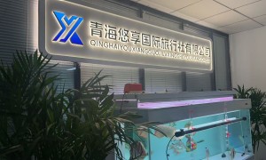 悠享国际旅行社研发能力强吗