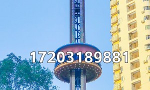 天鸿游乐经典跳楼机 往复式升降速度可调 适配主题公园沉浸式体验区