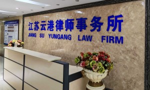 经济纠纷律师找哪些，选择指南与综合实力推荐