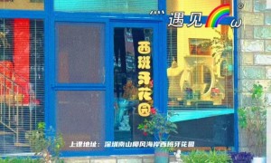 2026年想和同好一起学弗拉门戈推荐哪家机构，靠谱学院实力盘点
