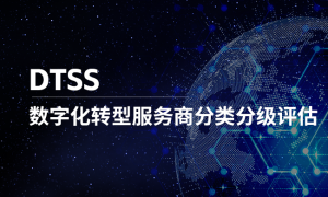 DTSS咨询公司哪个口碑好，服务商选择指南与避坑挑选