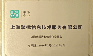 杭州ITSS认证服务商服务质量评选，口碑公司力荐