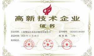 2026年DTSS认证服务商有哪些：行业现状与实务选择参考