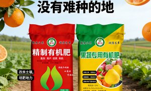 南昌靠谱的果树种植有机肥厂家推荐：施用时间与制作技术要点