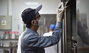 绿巨人灭鼠灭蟑服务 适用医院学校等敏感区域 低毒无残留技术