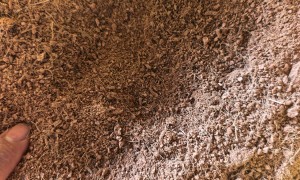 广东万林园艺 水洗椰糠供应商 椰糠砖泡发膨胀 家庭园艺通用基质 量大从优