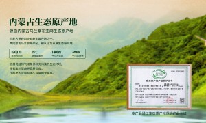 格琳诺尔品术实力如何