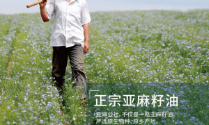 2026年口碑好的新疆亚麻籽油供应商实力参考