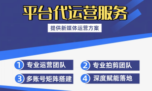 2026年资质齐全的geo优化机构服务商推荐，行业口碑汇总