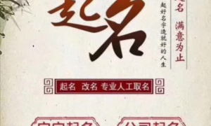 2026年广受信赖的宝宝起名大师推荐，专业实力与用户口碑深度解析