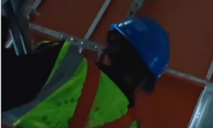 机房清洁服务公司、比较不错的机房清洁服务企业、诚信的机房清洁服务公司服务商挑选全攻略