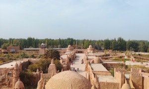 诚信的新疆口碑旅行社2026出行推荐，正规资质省心之选