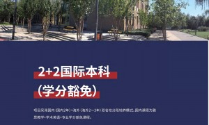 剖析国际本科留学服务机构，哪家靠谱值得深入探寻