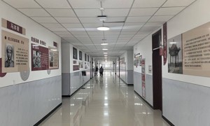 沧州文化展厅设计服务商口碑公司汇总，透明报价服务商