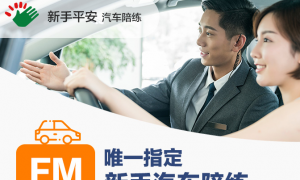 2026年新手汽车陪练服务行业现状与选择指南：广受信赖的商家汇总