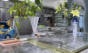 通州区哪里配离焦防控眼镜适合预算有限的家庭，靠谱门店推荐