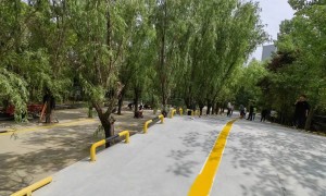 2026年考驾驶证找哪家报名靠谱，正规驾校机构实力测评