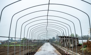 2026年特色种植制造厂哪家认证多，正规源头厂家实力参考