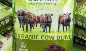 靠谱的能提供国际认证的牛粪有机肥生产厂推荐