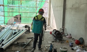 杭州白蚁防治服务中心哪家专业 正规机构综合实力推荐