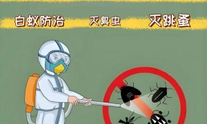 上虞区口碑好的灭鼠灭蟑螂服务商盘点：广澜白蚁防治中心实力参考