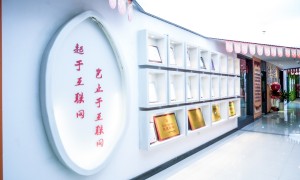 网商天下海外社媒代运营服务：从0到1搭建品牌主页，培训团队掌握社媒算法与付费投流技巧