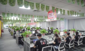 有实力的海外社媒代运营公司网商天下，江苏区域可上门培训，覆盖Pinterest及新兴社媒平台