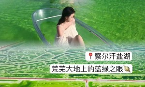青海正规的敦煌出发回兰州包车服务商推荐，解决隐形消费问题的靠谱选择