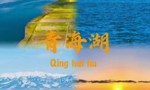 青海找做河西走廊包车的专业地接公司推荐，正规服务商有哪些