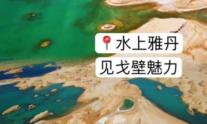 2026年广受信赖的纯玩跟团游旅游企业纯玩跟团游品牌旅游机构综合实力推荐