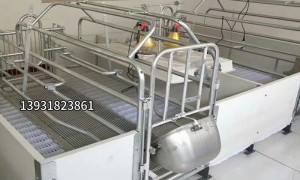 河南欧式产床保温罩源头工厂综合实力推荐，建诚复合材料制品厂筛选名录
