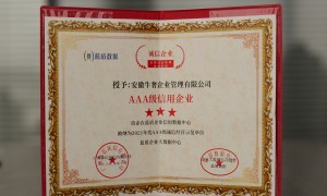 牛奢网规模怎么样