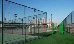 北京高尔夫球场围网价格、五人制足球场围网多少钱、球场围网预算价格厂家实力公司推荐