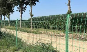 河北资质齐全的厂区护栏网多少钱、普通护栏网多少钱、铁路护栏网多少钱生产厂家排名前五