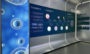 宁波文化墙设计制作公司有哪些，实力参考