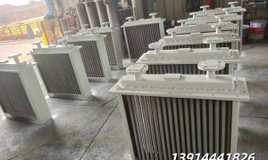 浙江不锈钢冷却器厂家快速交付与高性价比推荐，用户力荐