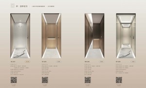 2026年小型私人会所装电梯服务商实力与用户口碑深度解析